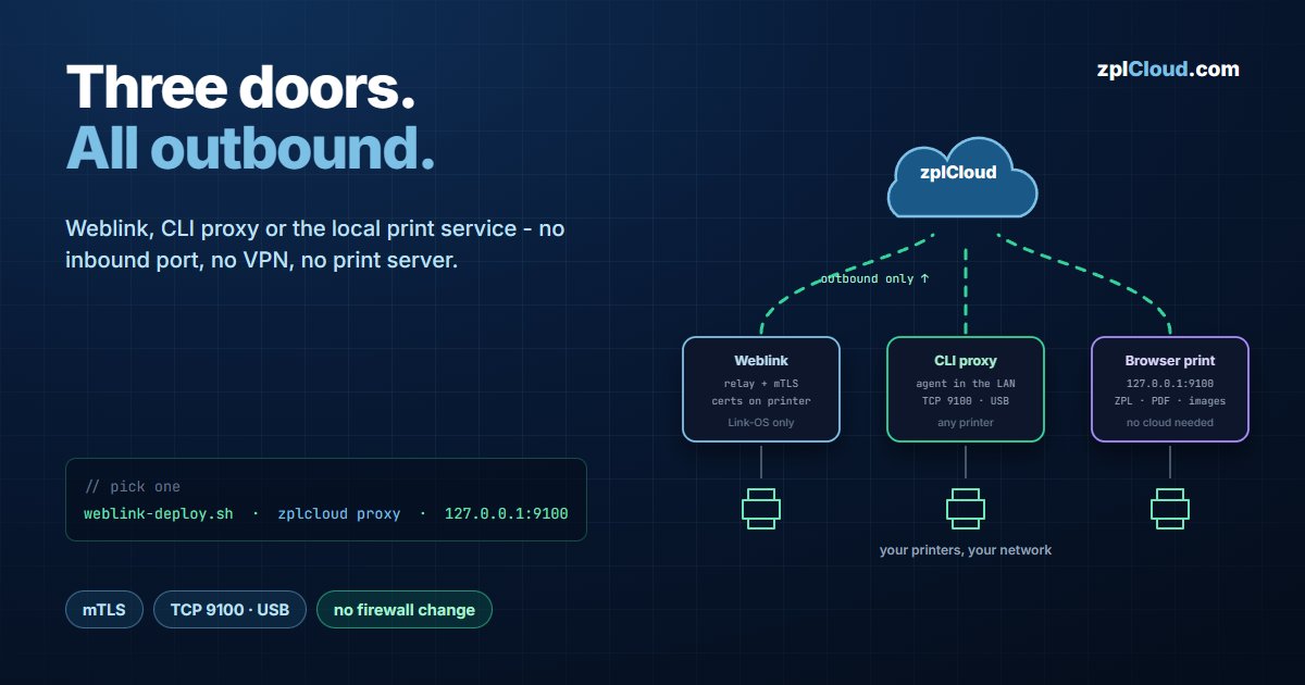 Weblink vs. CLI Proxy vs. CloudToBrowserPrint: Which Connection Do You Actually Need?